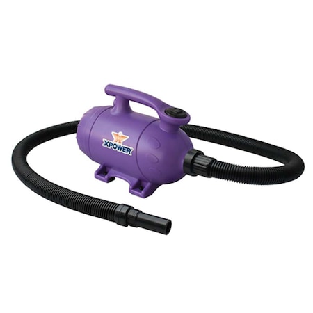 Xpower B-2-Purple 2 HP Pro at Home Pet Grooming Force Dryer & Vacuum, Purple XP626282
